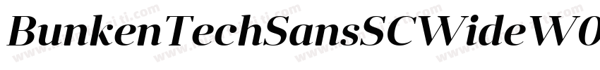 BunkenTechSansSCWideW05 SB Regular字体转换